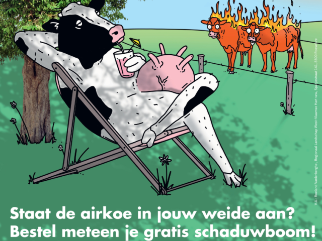 Zet de airkoe aan
